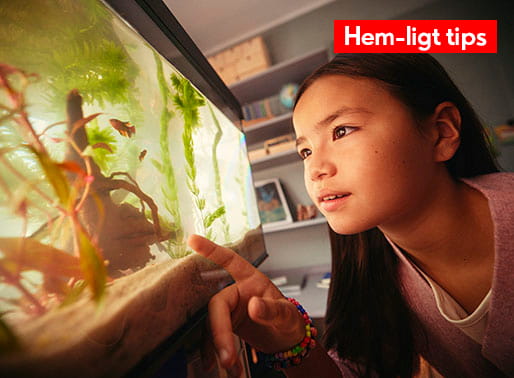 Flicka som samlat sina fiskar i akvarium och bildtexten hem-ligt tips