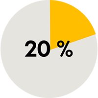 20 %