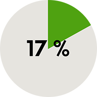 17 %