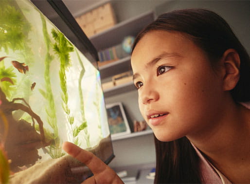 samla dina privatlån