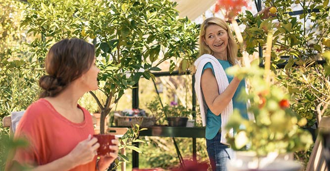 person gör det fint i trädgården billigt